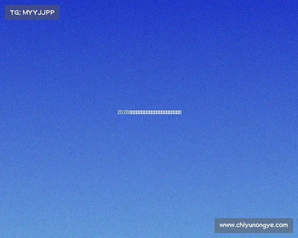 2026世界杯最佳阵容全解析球星实力与潜力全面展望